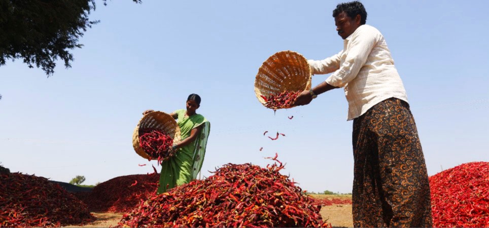 rural economies